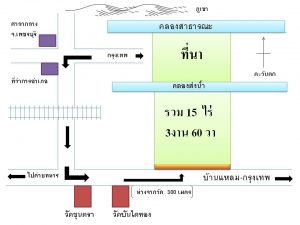 ขายถูกที่ดินเพชรบุรี