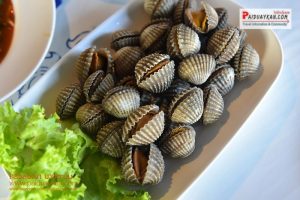 ที่ดินเหมาะทำตลาดเพชรบุรี