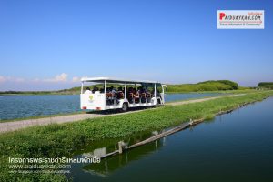 ขายที่ดินไร่ละล้านเพชรบุรี