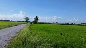 ที่ดินติดถนนสายเอเซีย