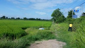 ขายที่ดินบางระจันติดถนนเอเชีย