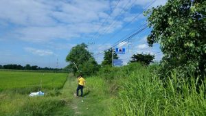 ขายที่ดินอำเภอค่ายบางระจันสิงห์บุรี
