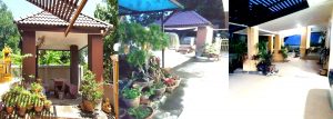 ขายบ้านพร้อมที่ดินเมืองพิษณุโลก