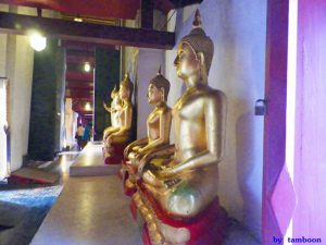 วัดๆ ใกล้ ขายที่ดินในเมืองถูกมากพิษณูโลก ทำเลดี ชุมชนดี ทำเลดี