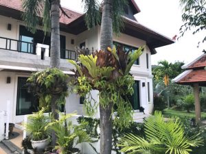 ขายบ้านเดี่ยวหรูภูเก็ตขายต่ำกว่าราคาประเมิน