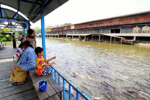 ขายที่ดินเหมาะหมู่บ้านจัดสรรใกล้ใกล้ตลาดไทรน้อย
