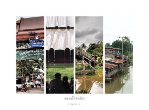 ขายที่ดินใกล้อำเภอไทรน้อย