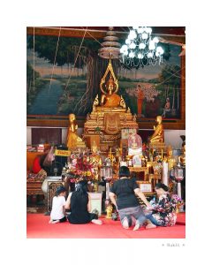 ที่ดินใกล้ตลาดไทรน้อยและอำเภอไทรน้อย