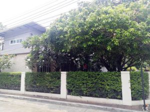 ขายบ้านเดี่ยวเศรษฐสิริ