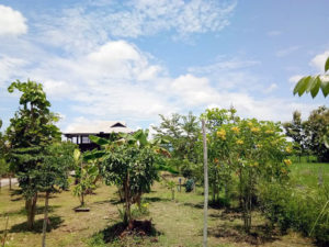 ขายถูกบ้านเดี่ยวสันป่าตองเชียงใหม่