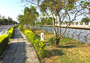 ขายที่ดินใกล้คู่ขนานลอยฟ้าถนนบรมราชชนนี