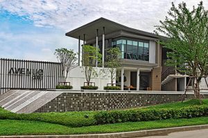 ขายทาวน์อเวนิวเมิร์จ