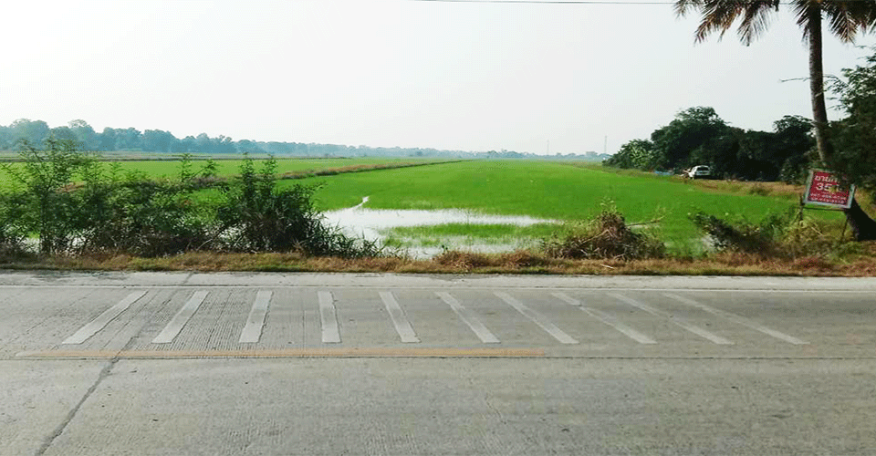 ขายที่ดินติดถนนลำลูกกา คลอง10