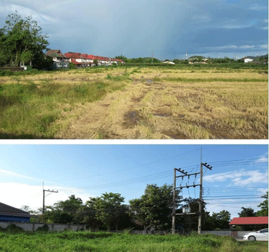Land For Sale at Chiangrai Near Central Chiangrai, Homepro, Global House, Chiangrai Airport,