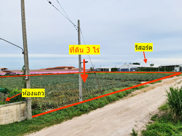 ขายที่ดินปลวกแดงระยอง เหมาะสร้างโกดังคลังสินค้า ตึกแถว คอนโด หอพัก ในเขตEEC ทีดินทำเลทองในย่านธุรกิจ ชุมชุนดี ขายถูกตรวละ22500บ