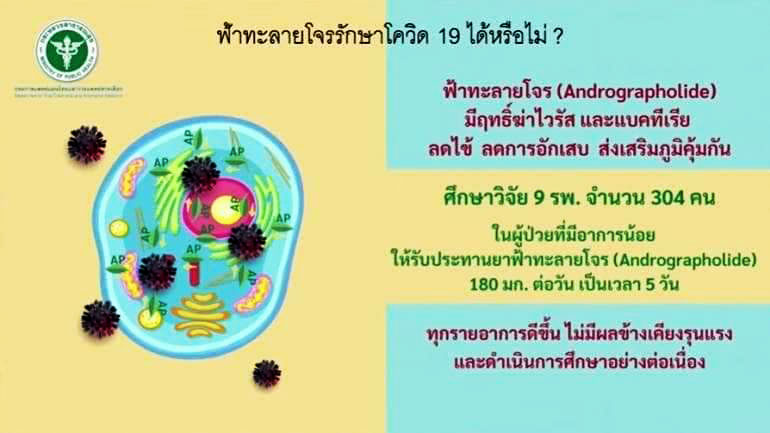 ยันฮีฟ้าทะลายโจรลดไข้ ส่งฟรี ยันฮีฟ้าทะลายโจรแบบเม็ด ยันฮีฟ้าทะลายโจรป้องกันการติดเชื้อ ลัง120ขวด-ราคา8400บาท