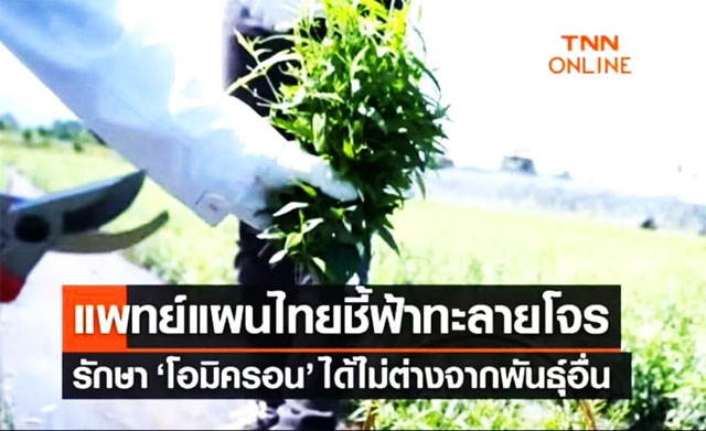 ยันฮีฟ้าทะลายโจรลดไข้ ส่งฟรี ยันฮีฟ้าทะลายโจรแบบเม็ด ยันฮีฟ้าทะลายโจรป้องกันการติดเชื้อ ลัง120ขวด-ราคา8400 บาท