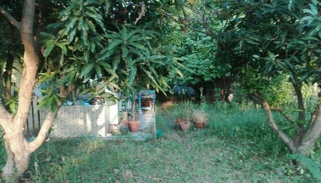 ขายบ้านเดี๋ยอำเภอเมืองยโสธร ใกล้ตัวเมืองยโสธร ขายบ้านชั้นเดียวติดถนนชนบท 3020